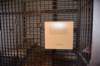 dsc_6535_fs_small.jpg