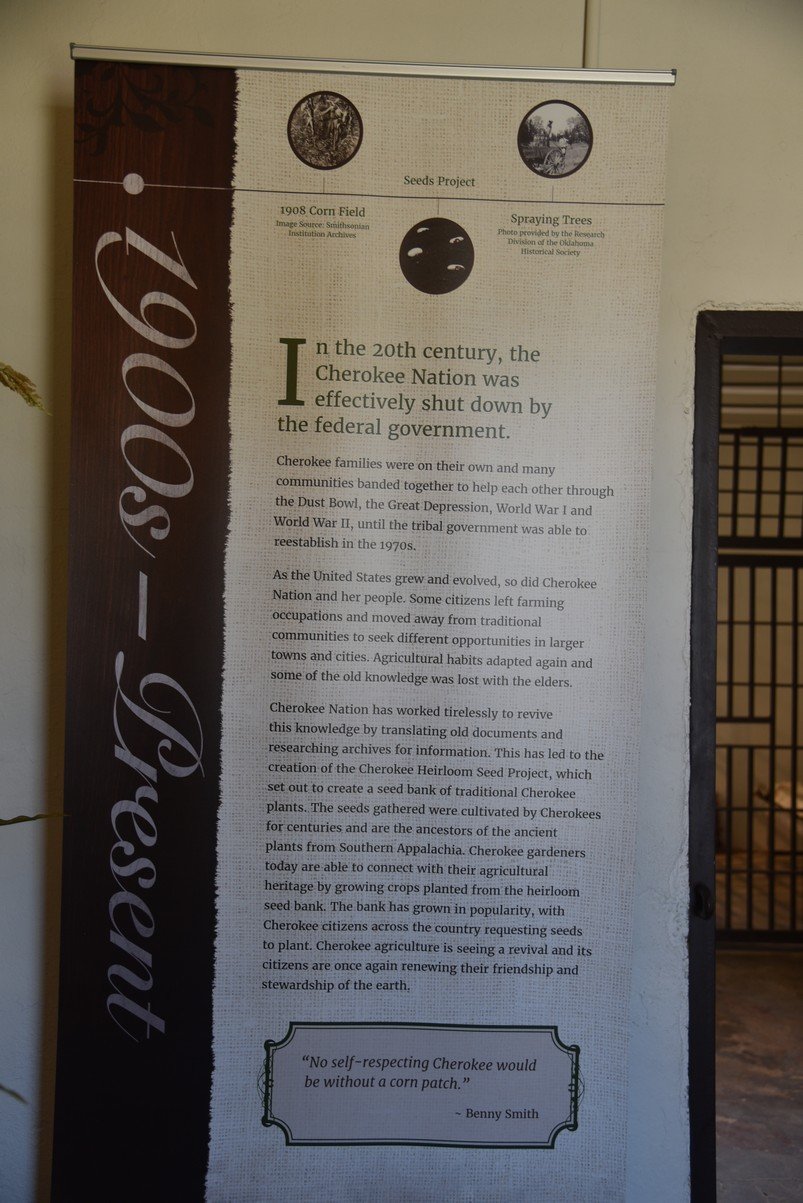 dsc_6547_fs.jpg