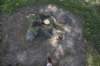 dsc_7223_fs_small.jpg