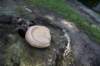 dsc_7225_fs_small.jpg