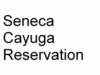 senecacayugareservation_small.jpg