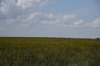 dsc_7779_fs_small.jpg