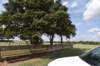 dsc_7795_fs_small.jpg