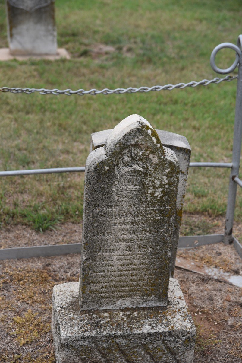 dsc_7830_fs.jpg