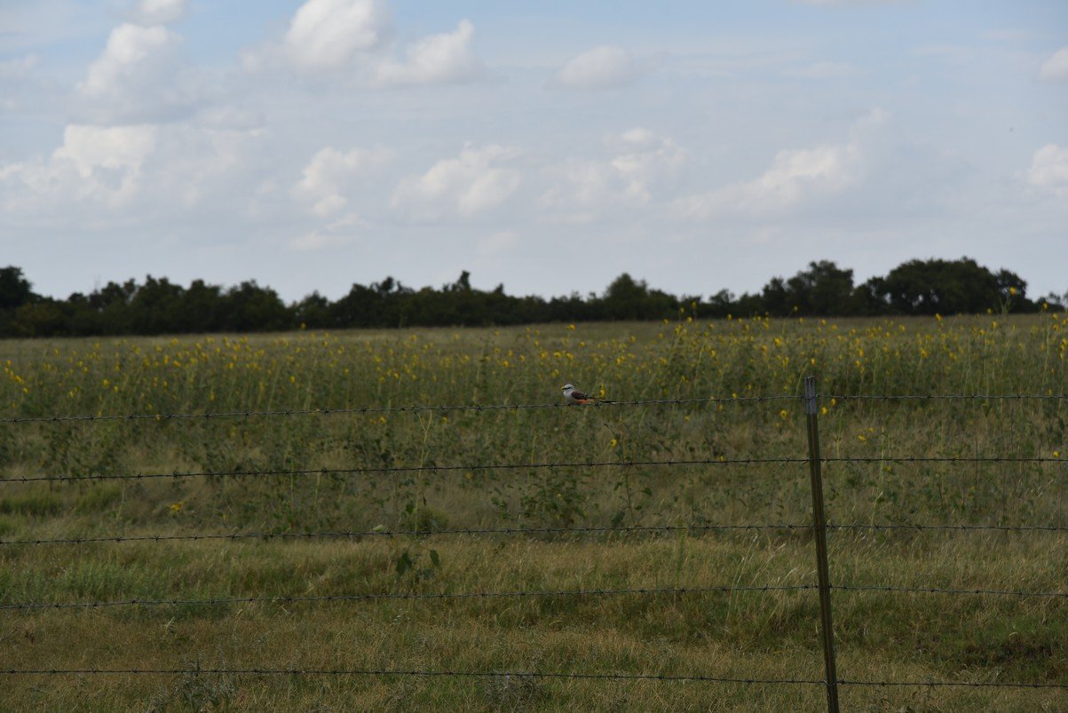 dsc_7837_fs.jpg