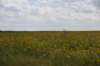 dsc_7844_fs_small.jpg