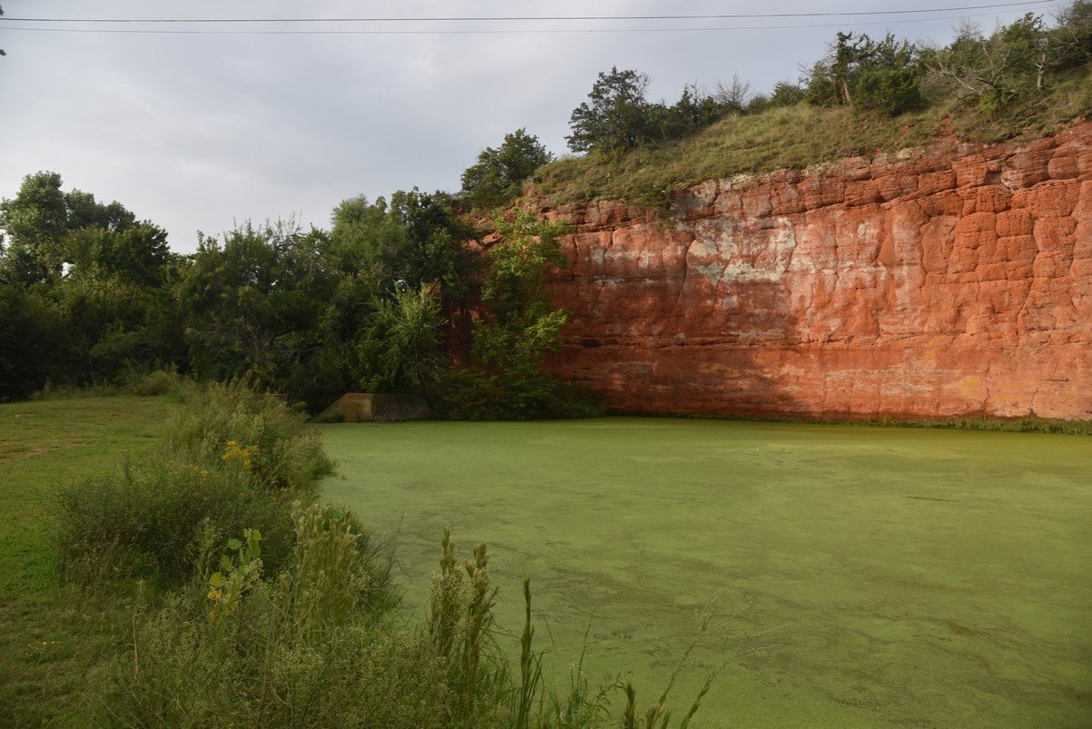dsc_7867_fs.jpg