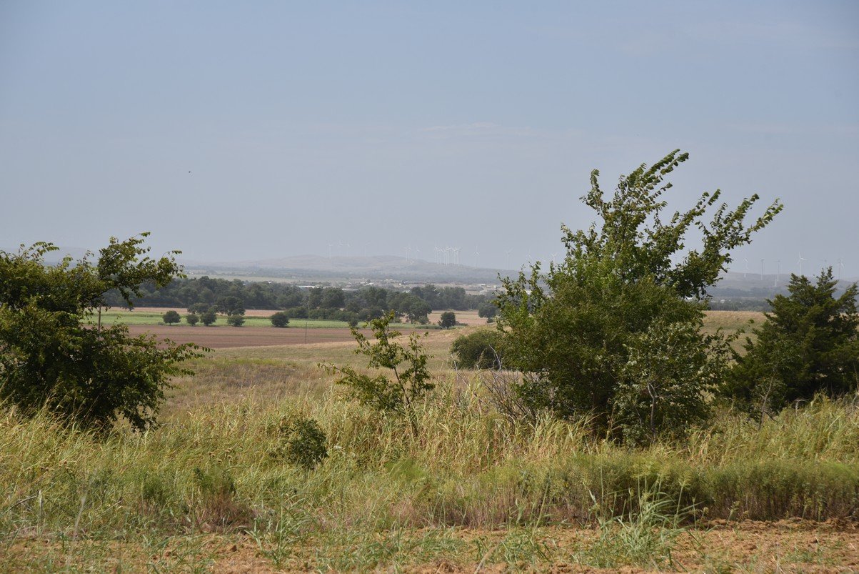 dsc_8408_fs.jpg
