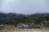 dsc_0717_small.jpg