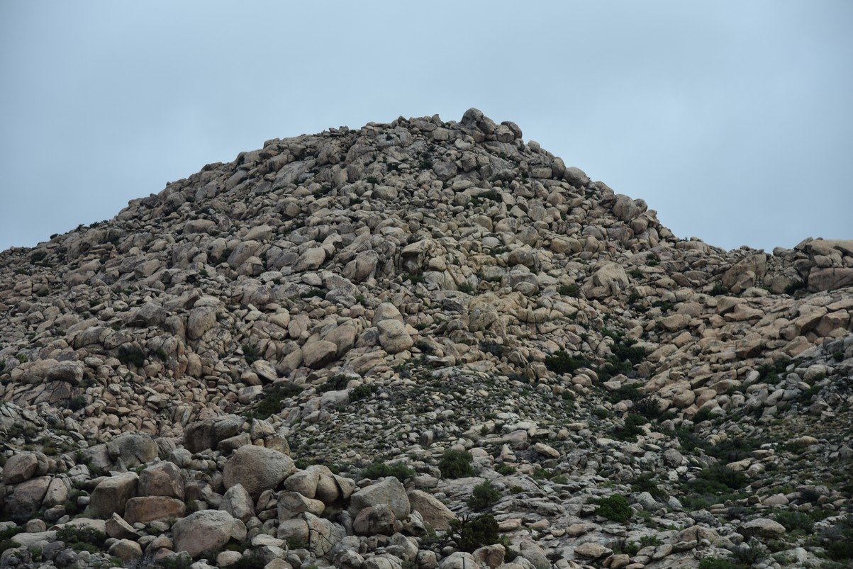 dsc_0729.jpg