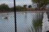 dsc_0754_small.jpg