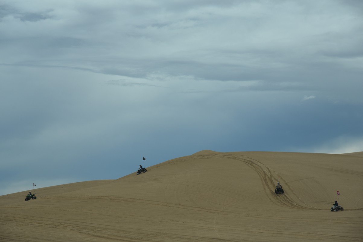 dsc_0786.jpg