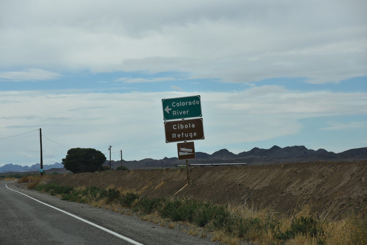 dsc_0800.jpg