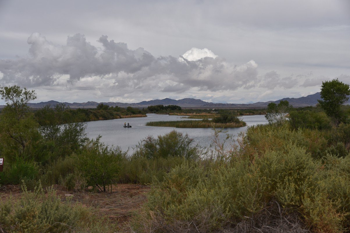 dsc_0802.jpg