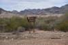 dsc_0817_small.jpg