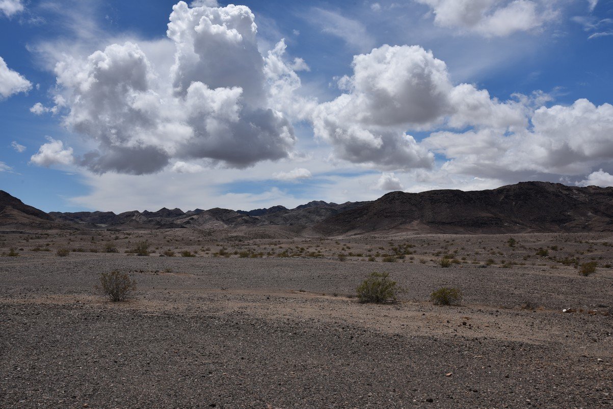dsc_0902.jpg