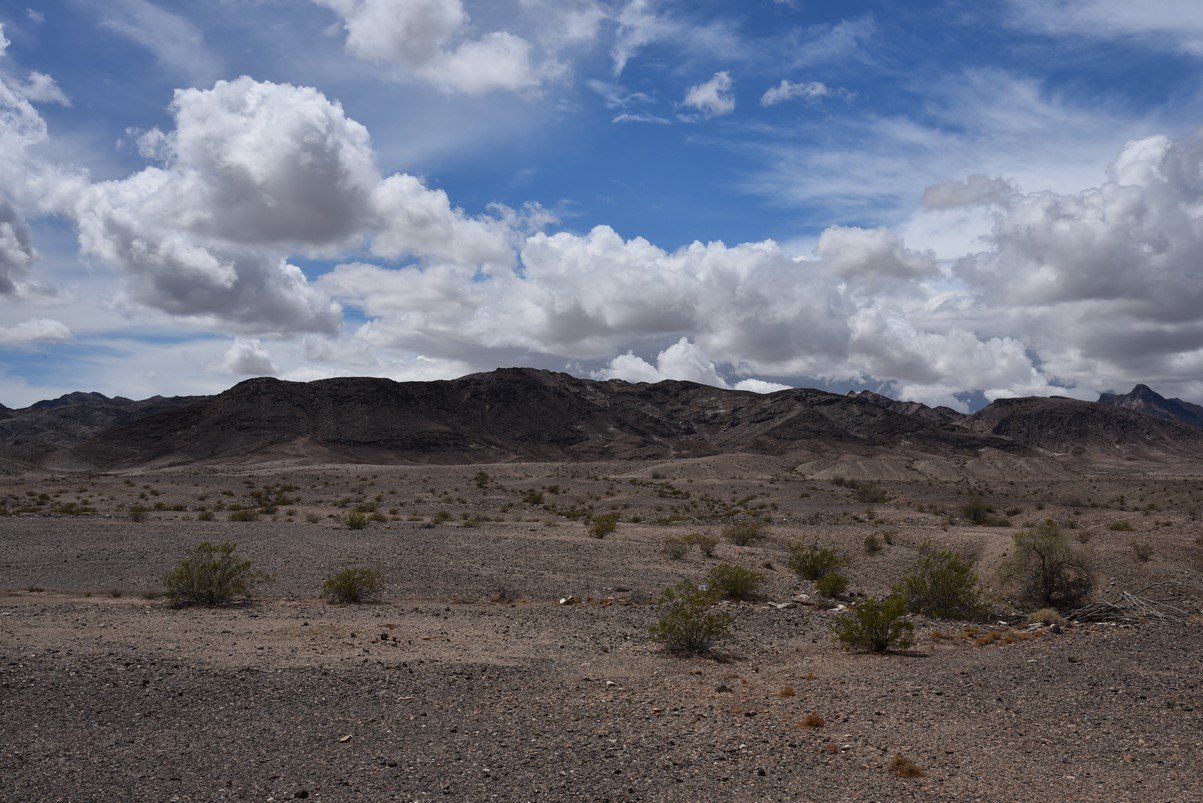 dsc_0904.jpg
