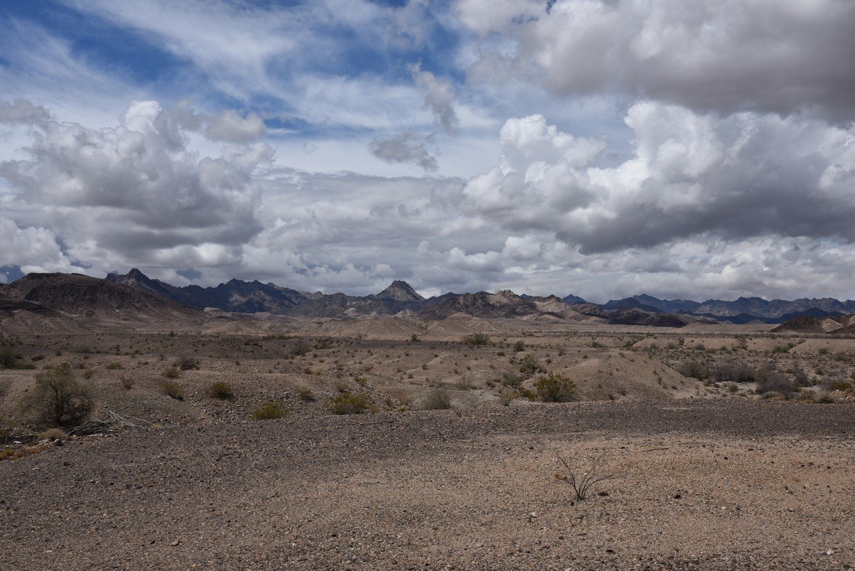 dsc_0907.jpg