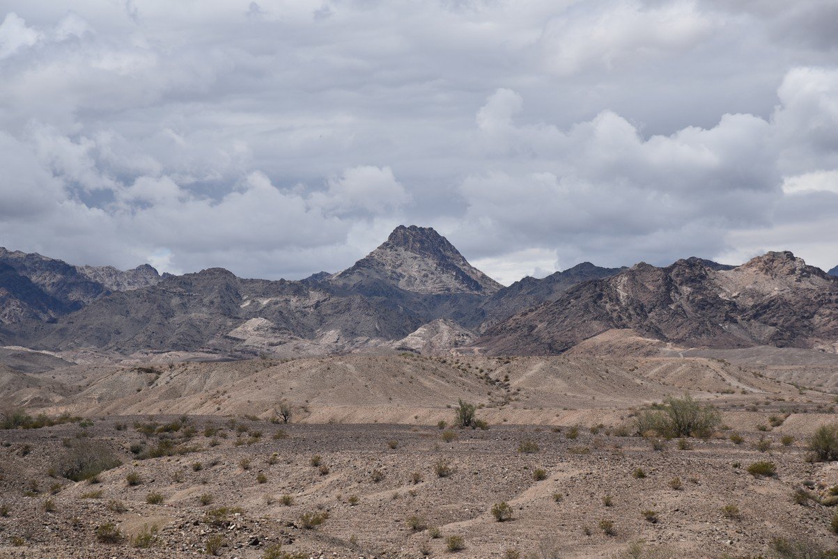 dsc_0914.jpg