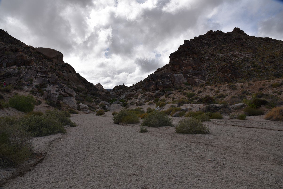 dsc_0947.jpg