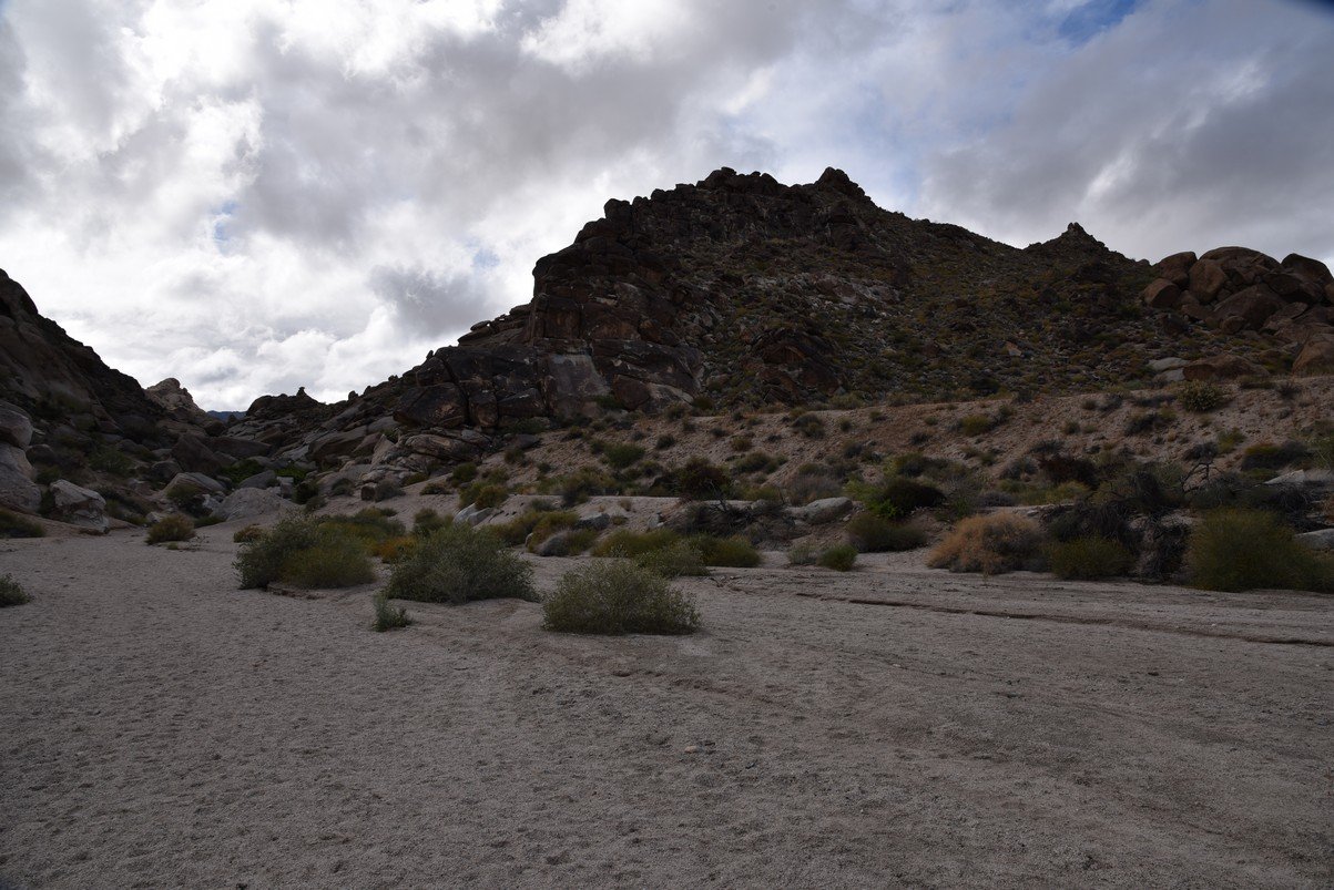 dsc_0948.jpg