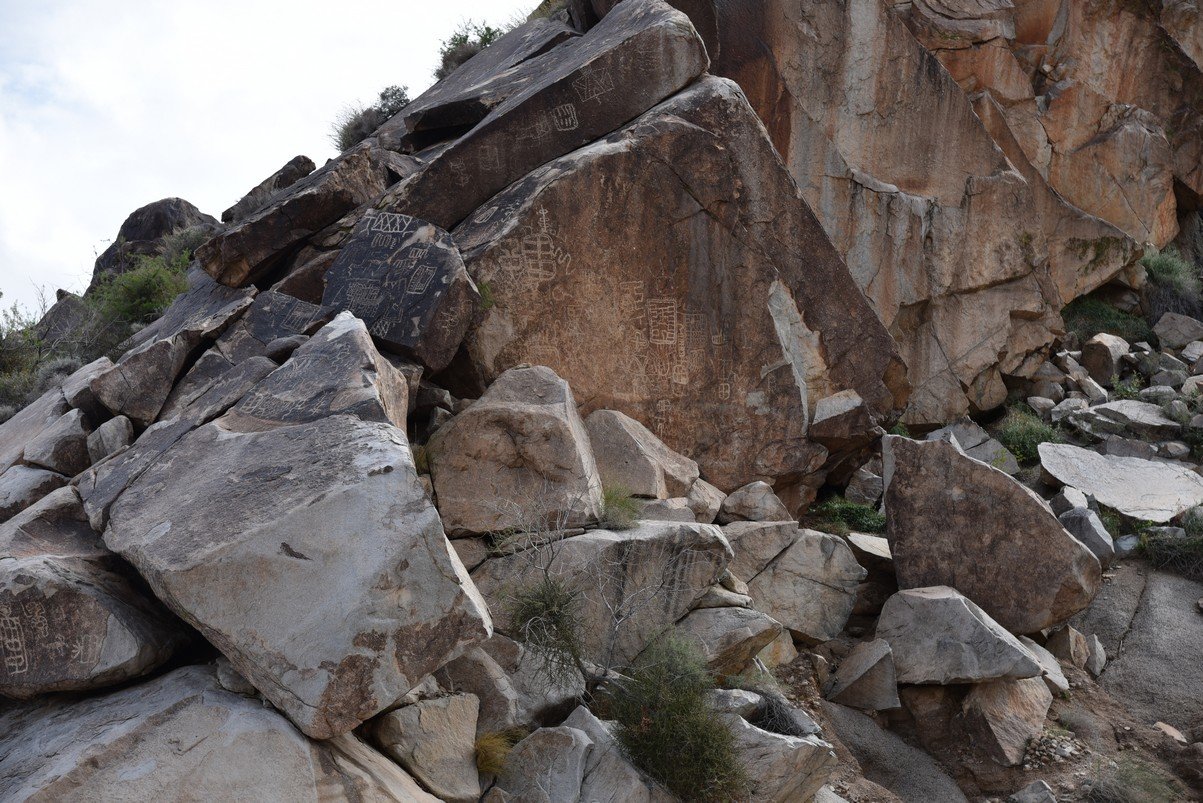 dsc_0955.jpg