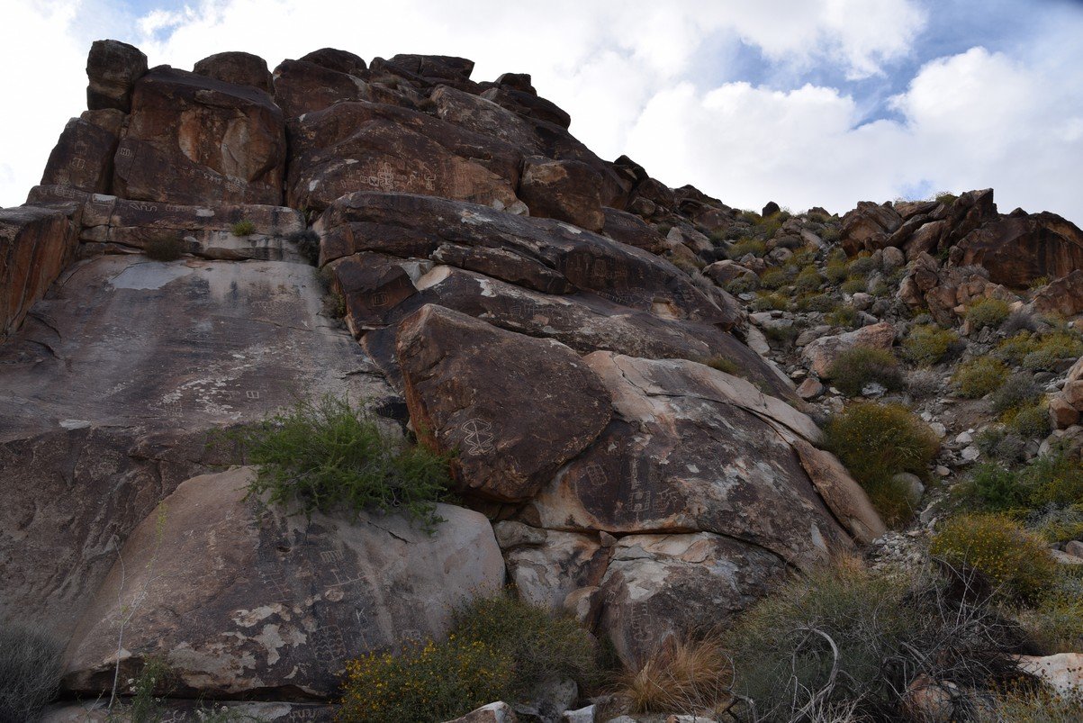 dsc_0970.jpg