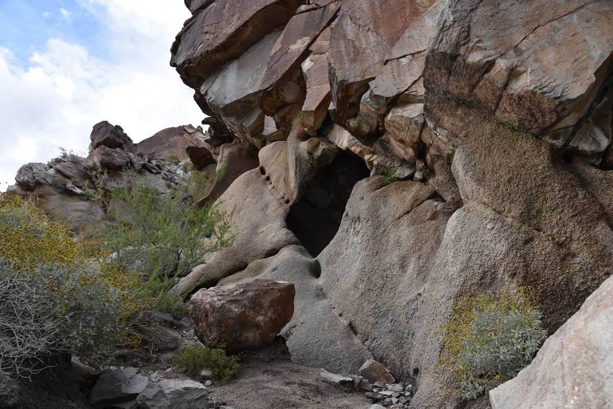 dsc_0974.jpg