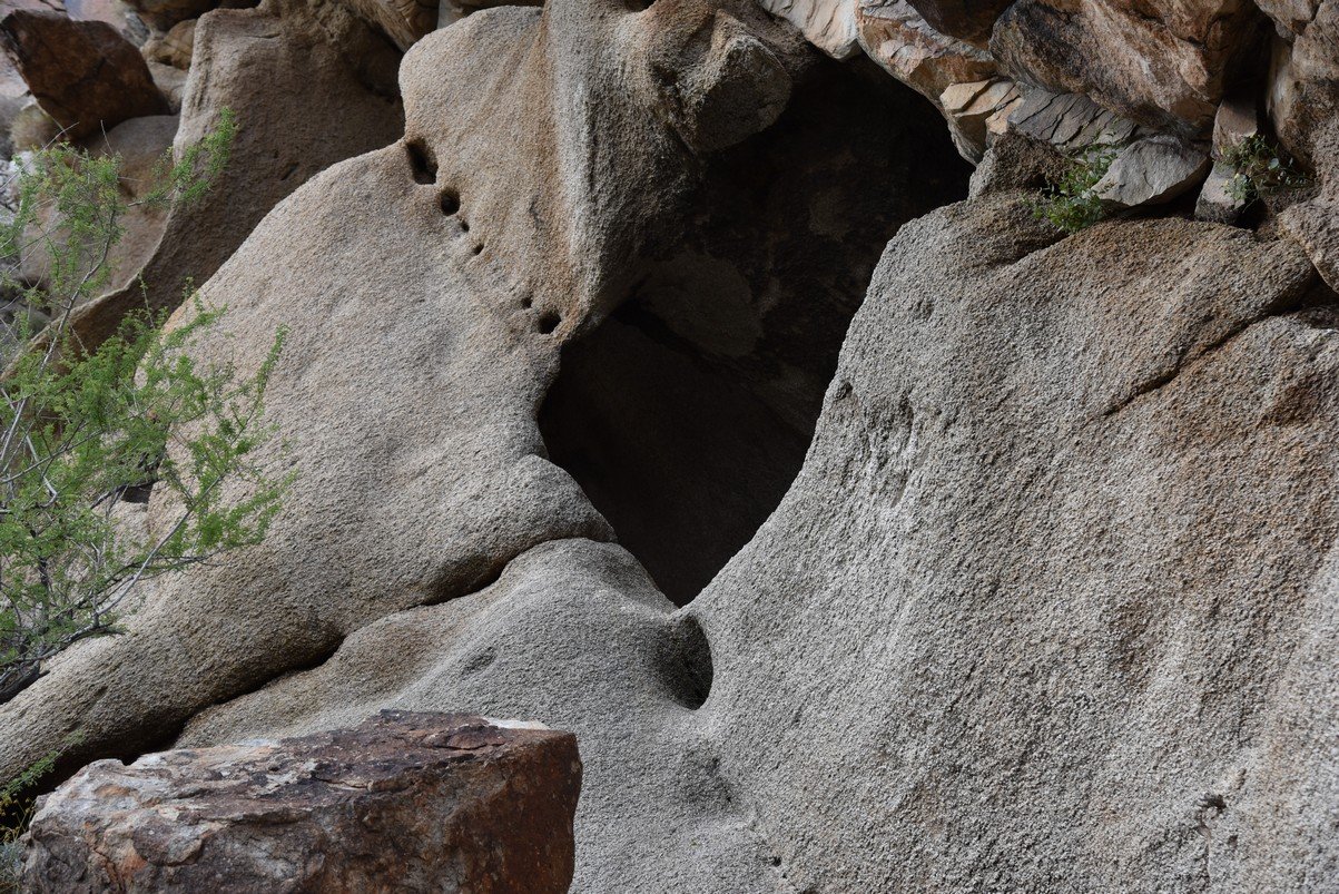 dsc_0975.jpg