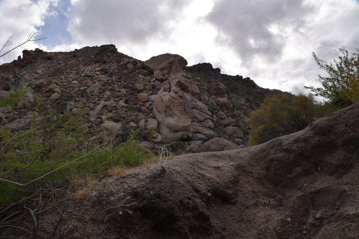 dsc_0976.jpg