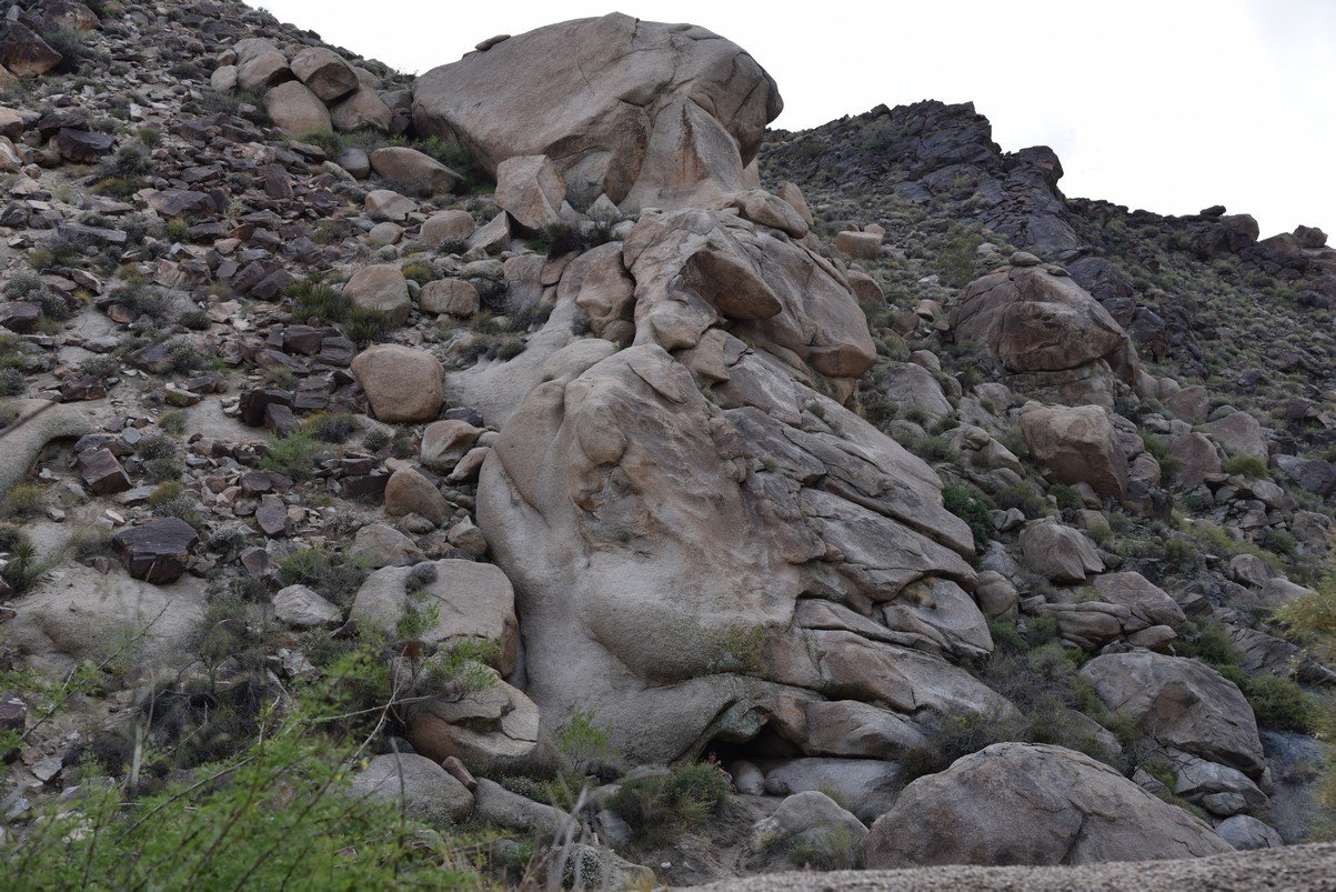 dsc_0977.jpg