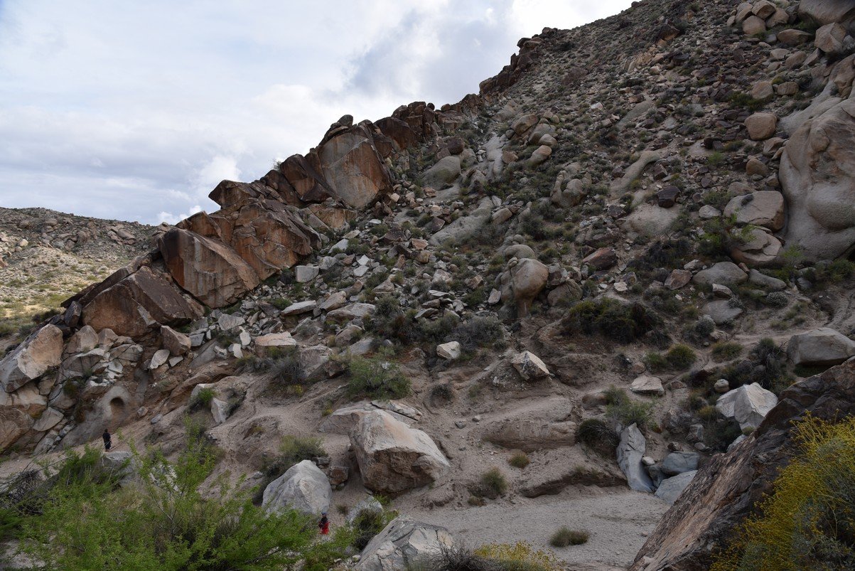 dsc_0980.jpg