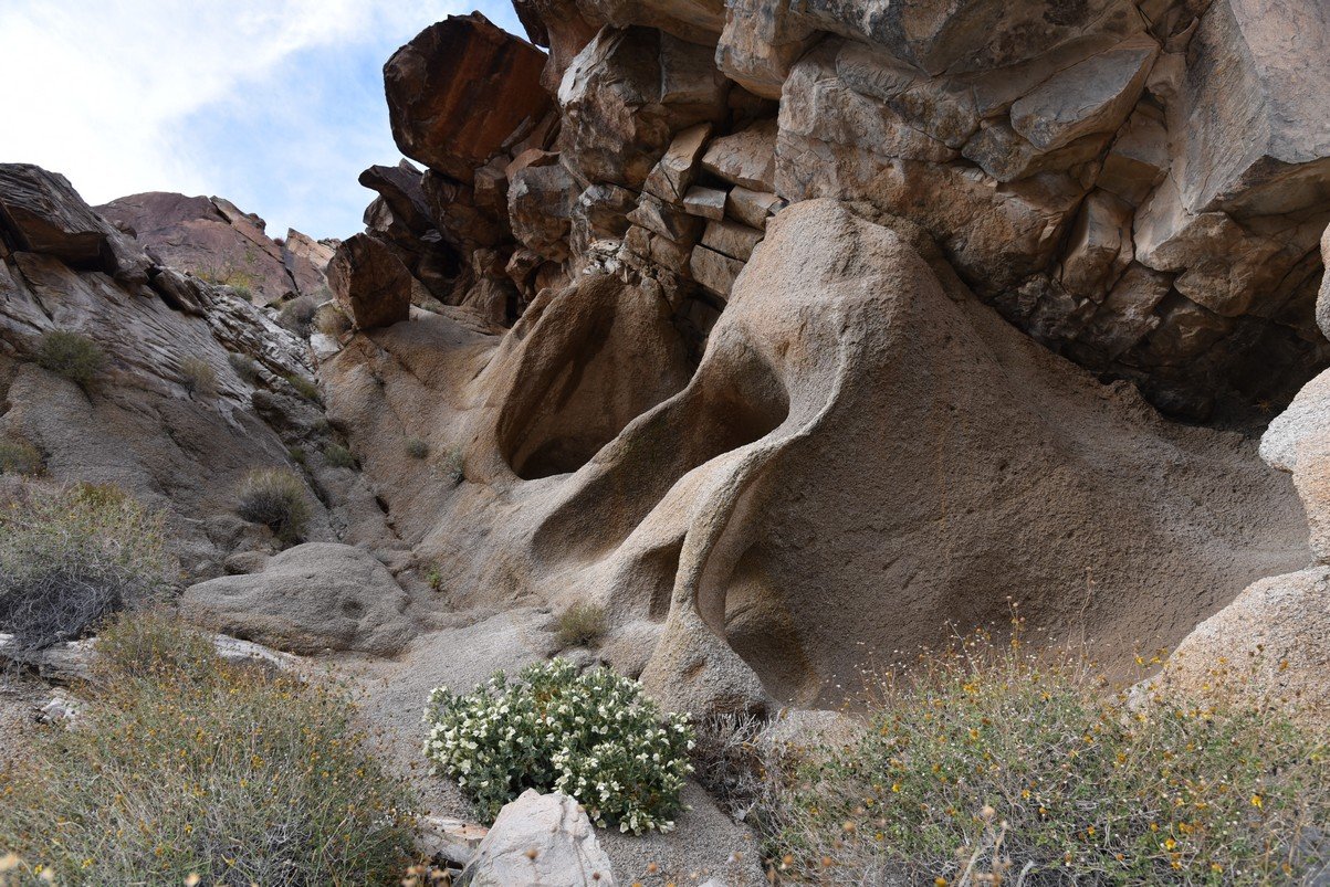 dsc_0983.jpg