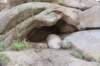 dsc_0990_small.jpg