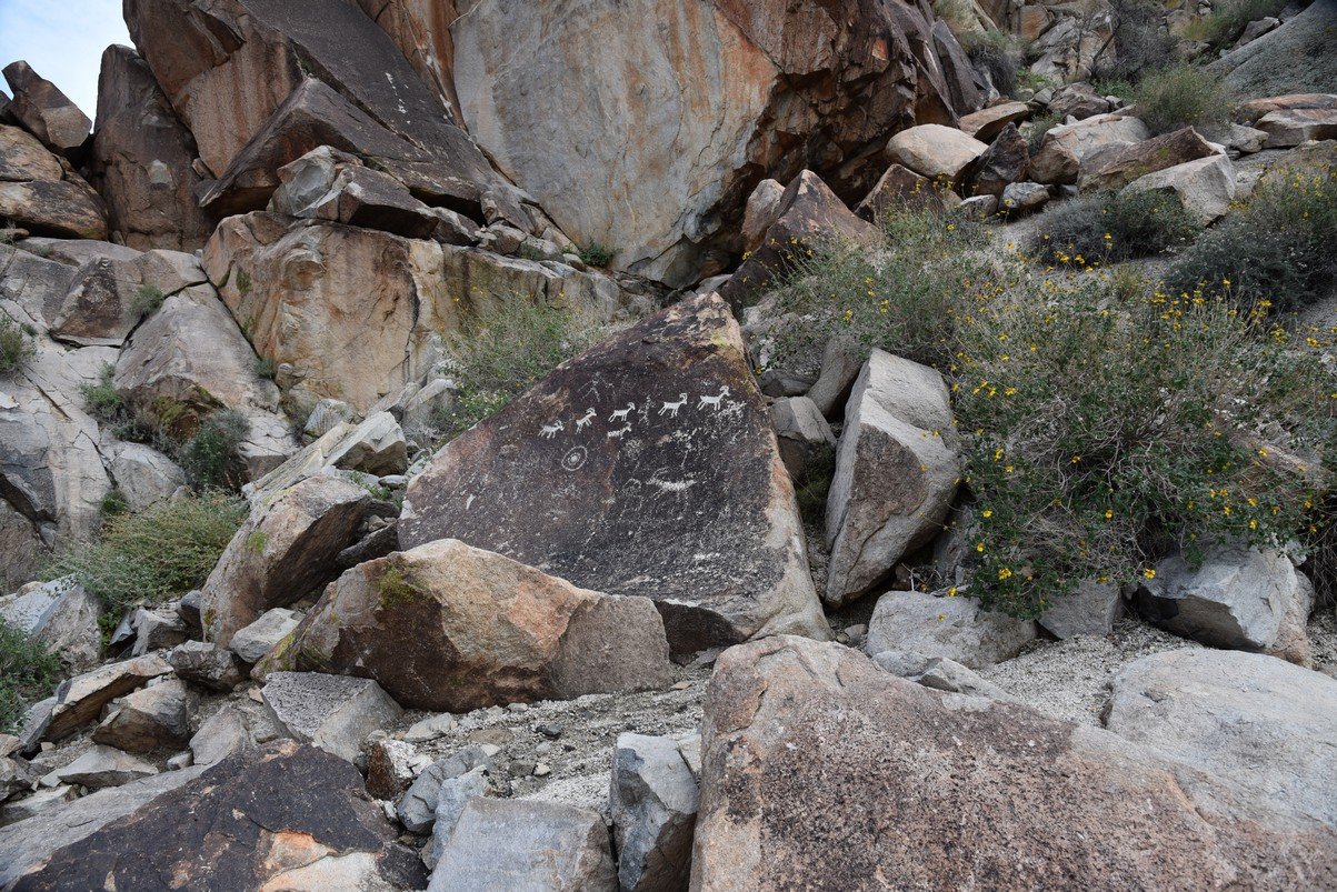 dsc_0995.jpg