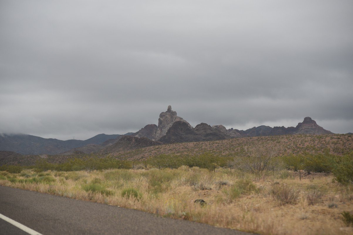 dsc_1009.jpg
