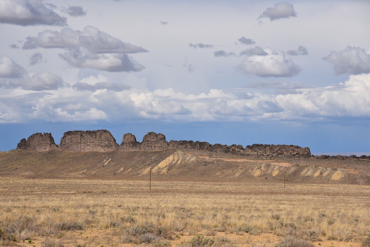 dsc_1194.jpg