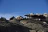 dsc_1260_small.jpg