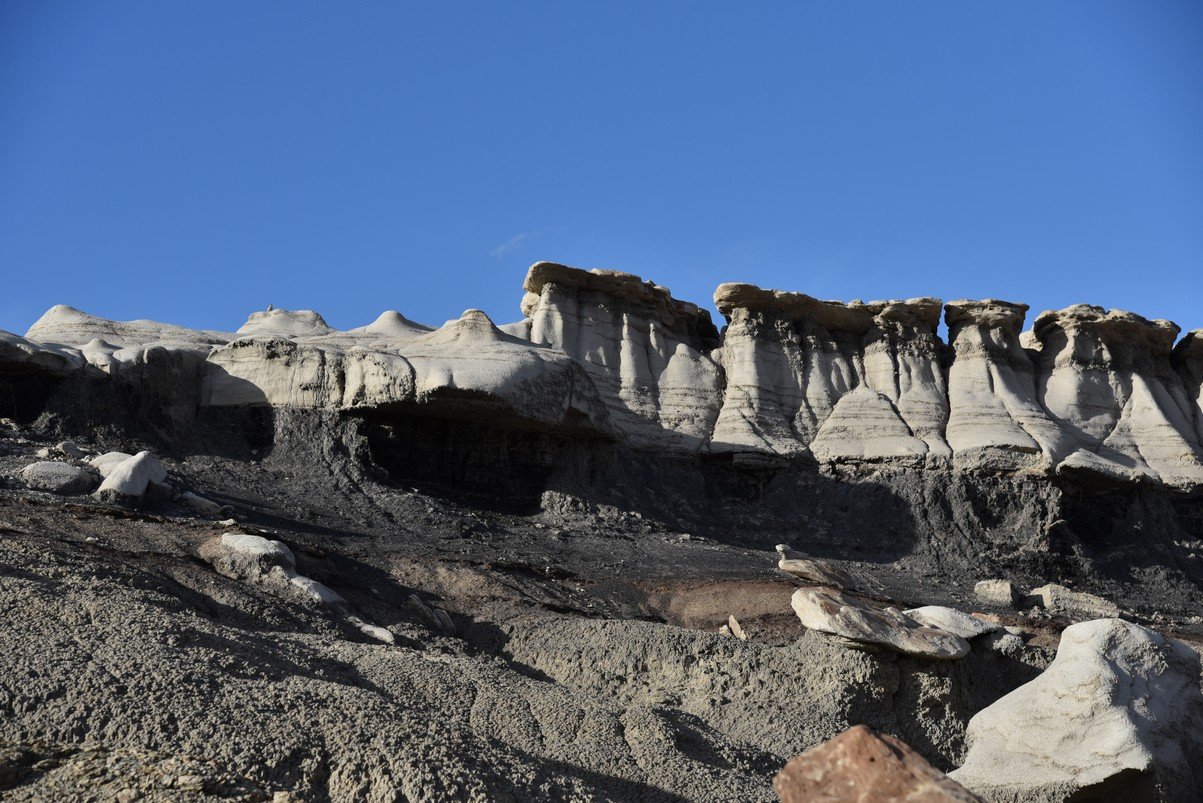 dsc_1262.jpg