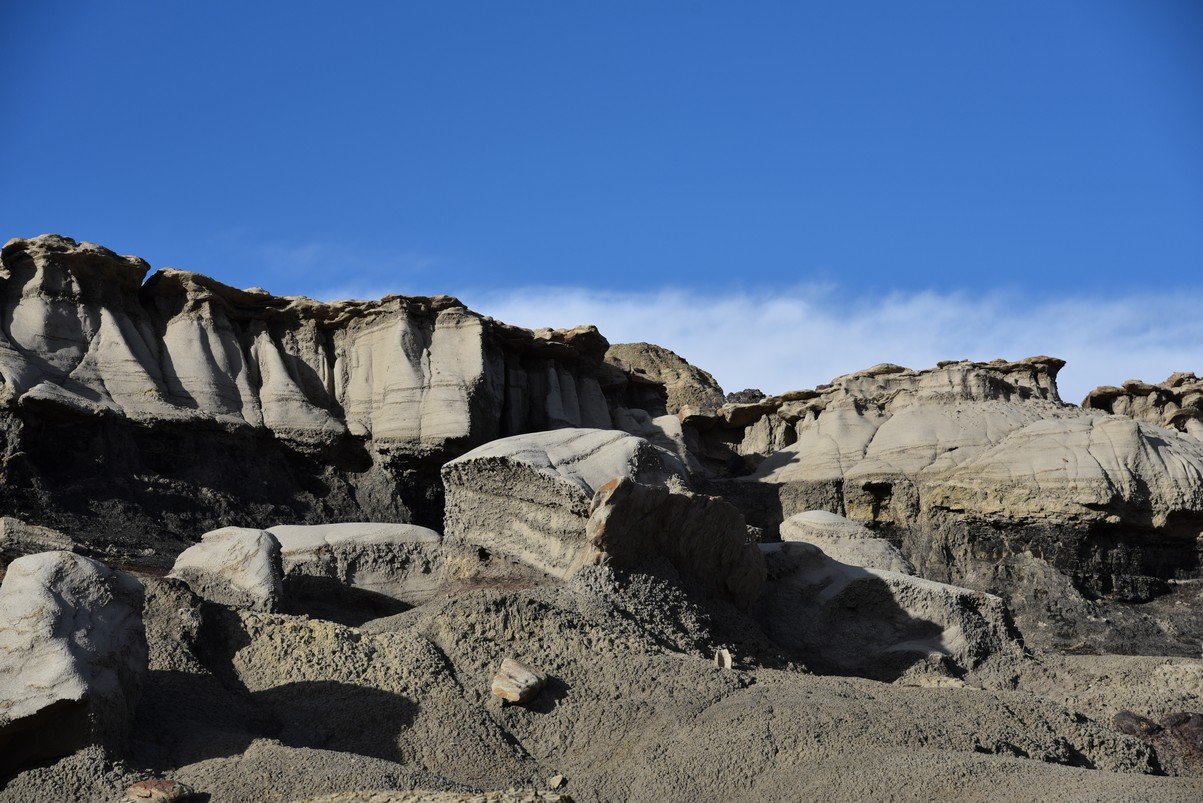 dsc_1265.jpg