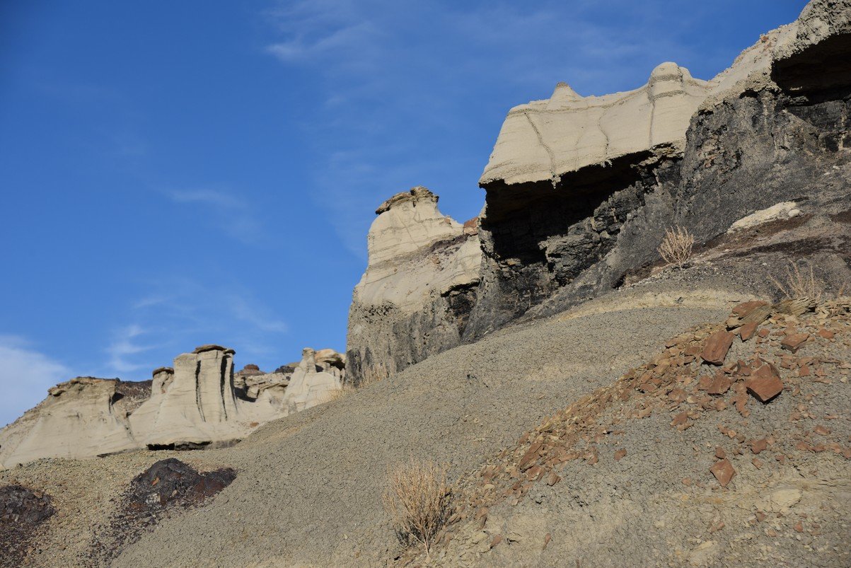 dsc_1269.jpg
