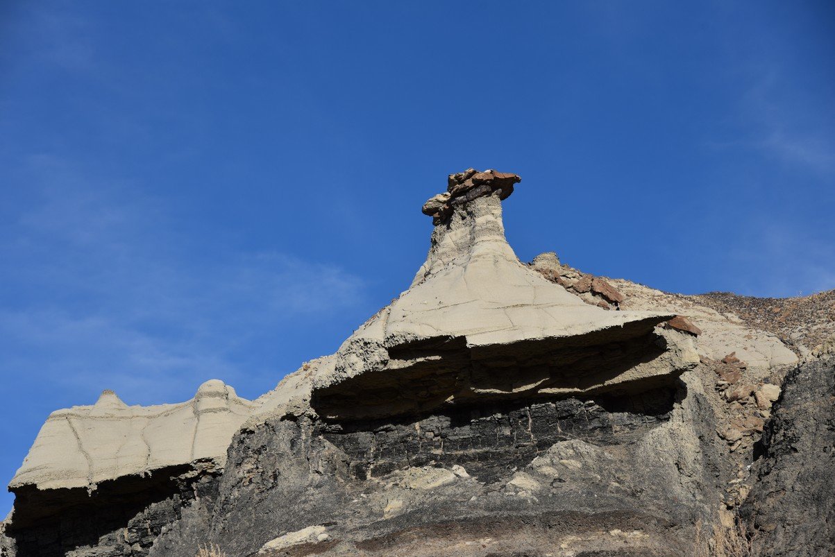 dsc_1271.jpg