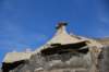 dsc_1271_small.jpg