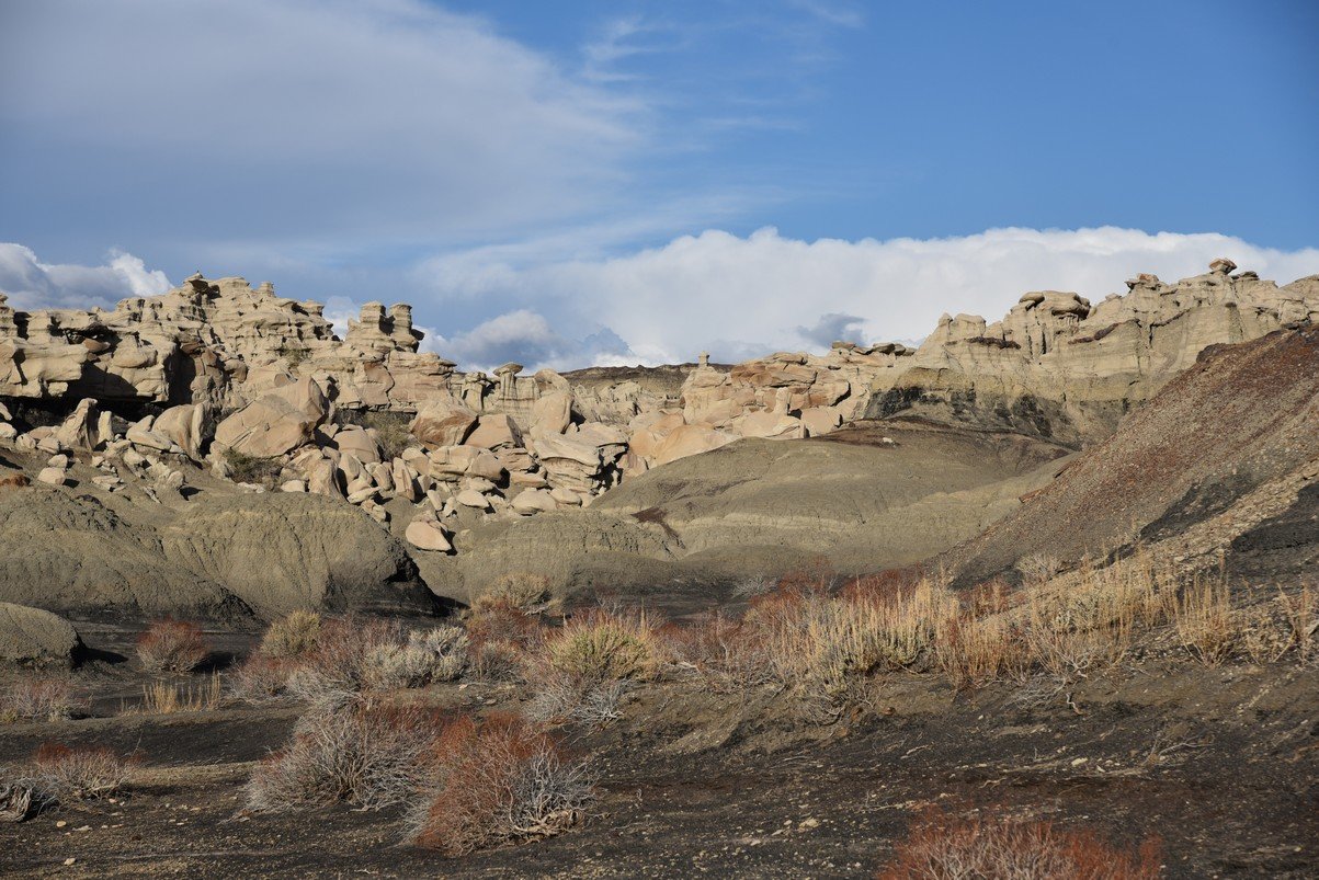 dsc_1274.jpg