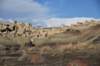dsc_1274_small.jpg