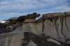 dsc_1293_small.jpg
