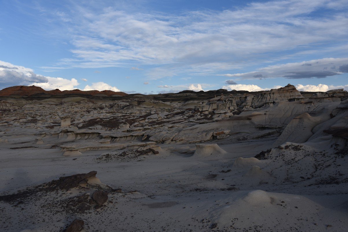 dsc_1298.jpg