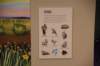 dsc_1359_small.jpg