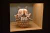 dsc_1366_small.jpg