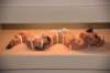 dsc_1367_small.jpg